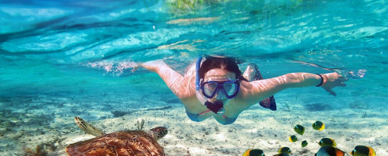 Malindi Marine National Park