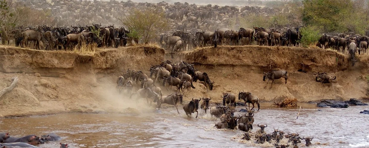 Masai-Mara-wildlife-reserve