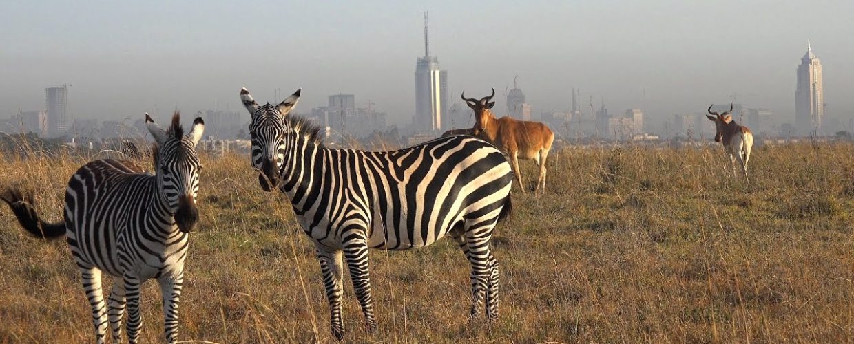 Nairobi-National-Park