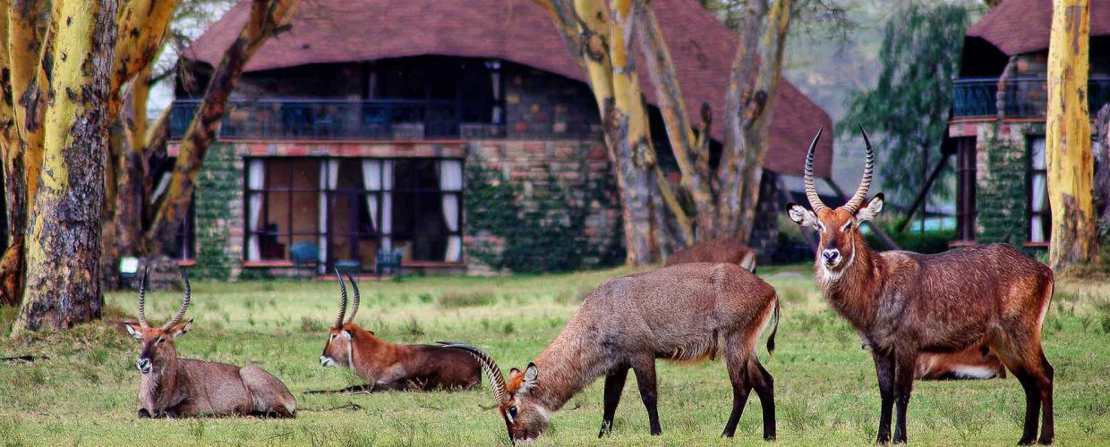 lake-naivasha-national-park