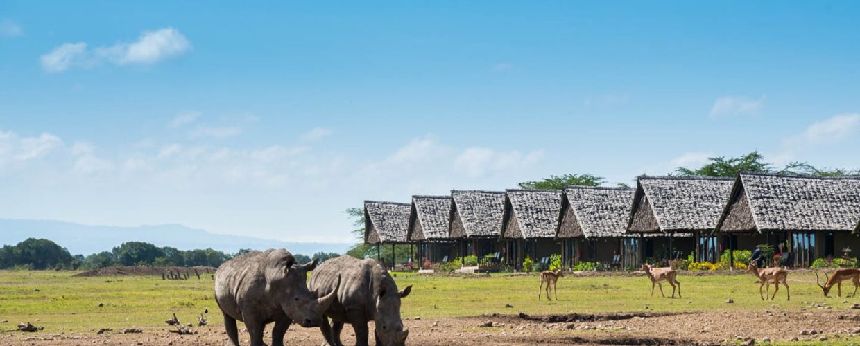 sweetwater-serena-camp-mount-kenya